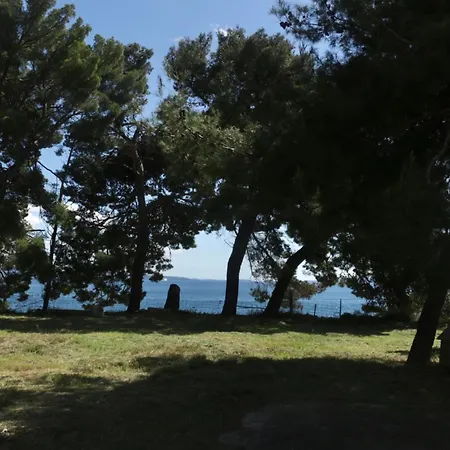 Beachfront Drazen With Patio & Parking