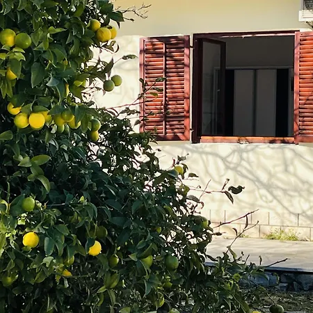 Beachfront Drazen With Patio & Parking Lejlighed *